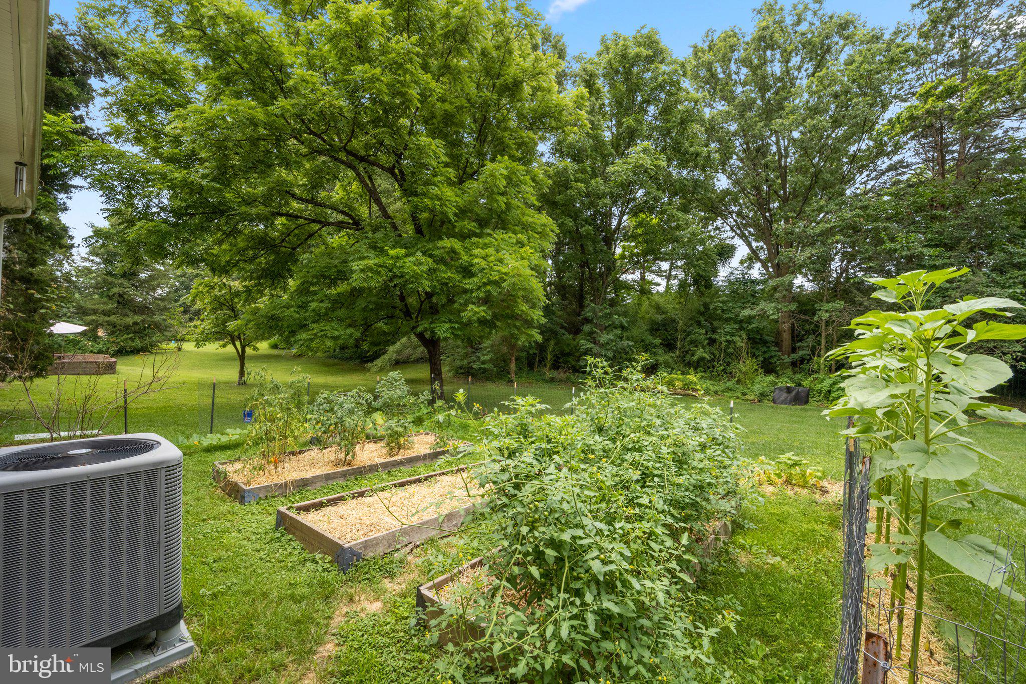 8901 Briarcroft Lane Laurel, MD 20708 - Photo 35 of 41 Backyard