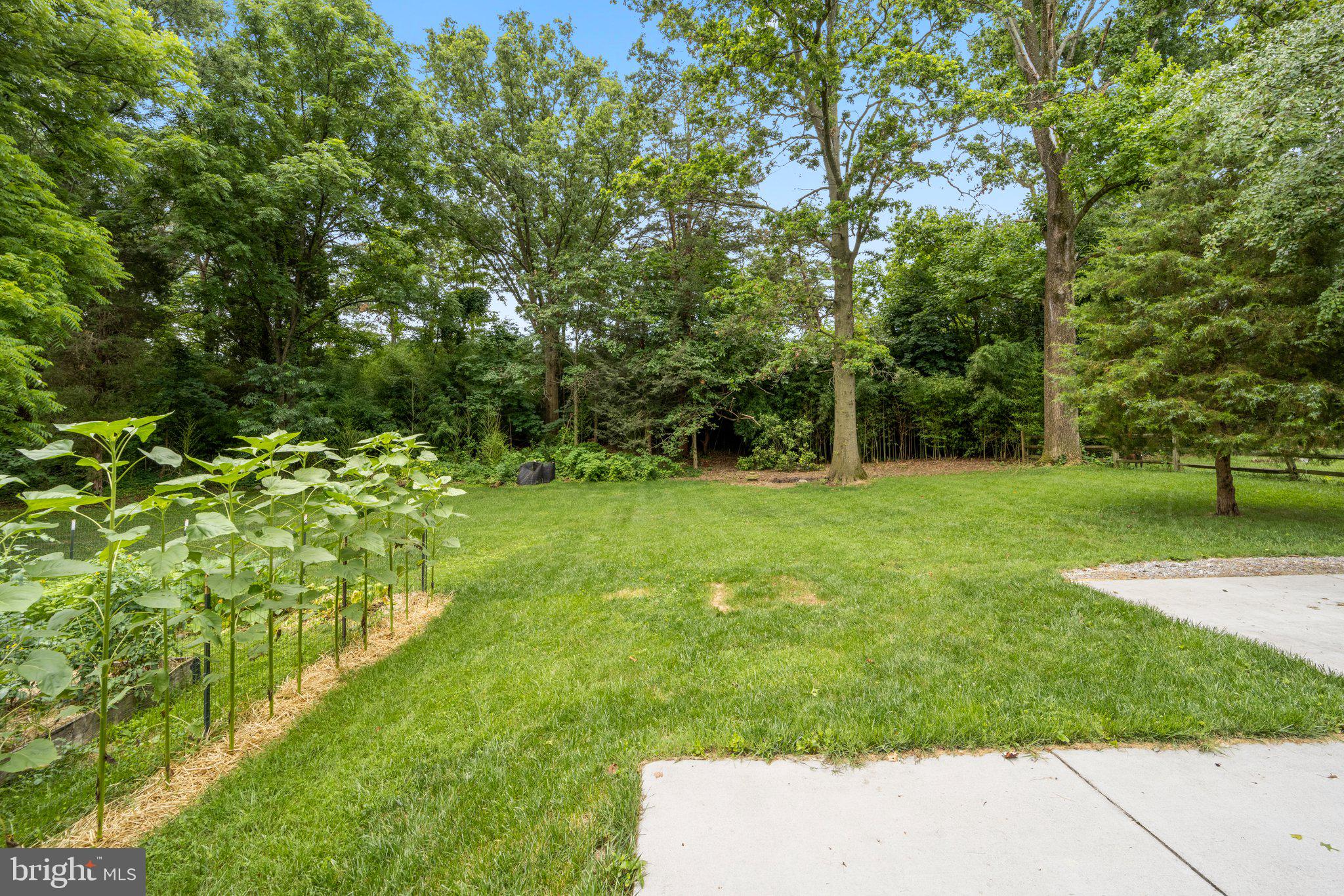 8901 Briarcroft Lane Laurel, MD 20708 - Photo 39 of 41 Backyard