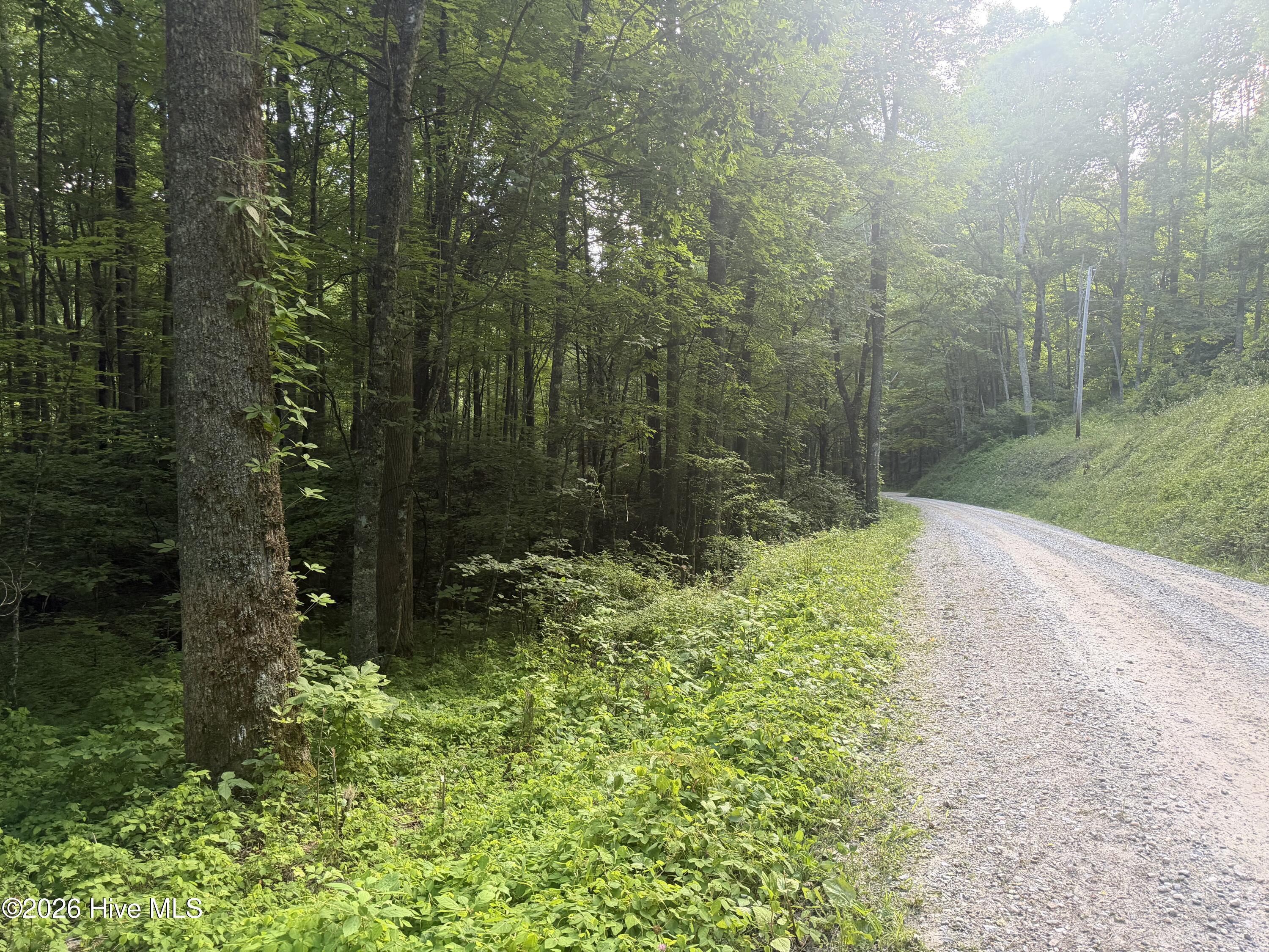 0 Otter Creek Road Topton, NC 28781 - Photo 8 of 20