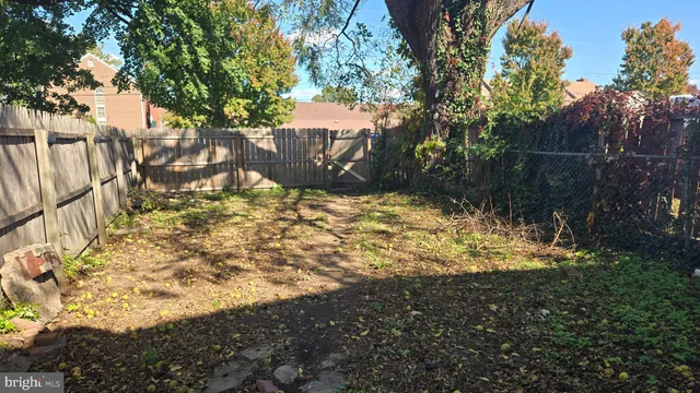 a view of a yard with plants and trees