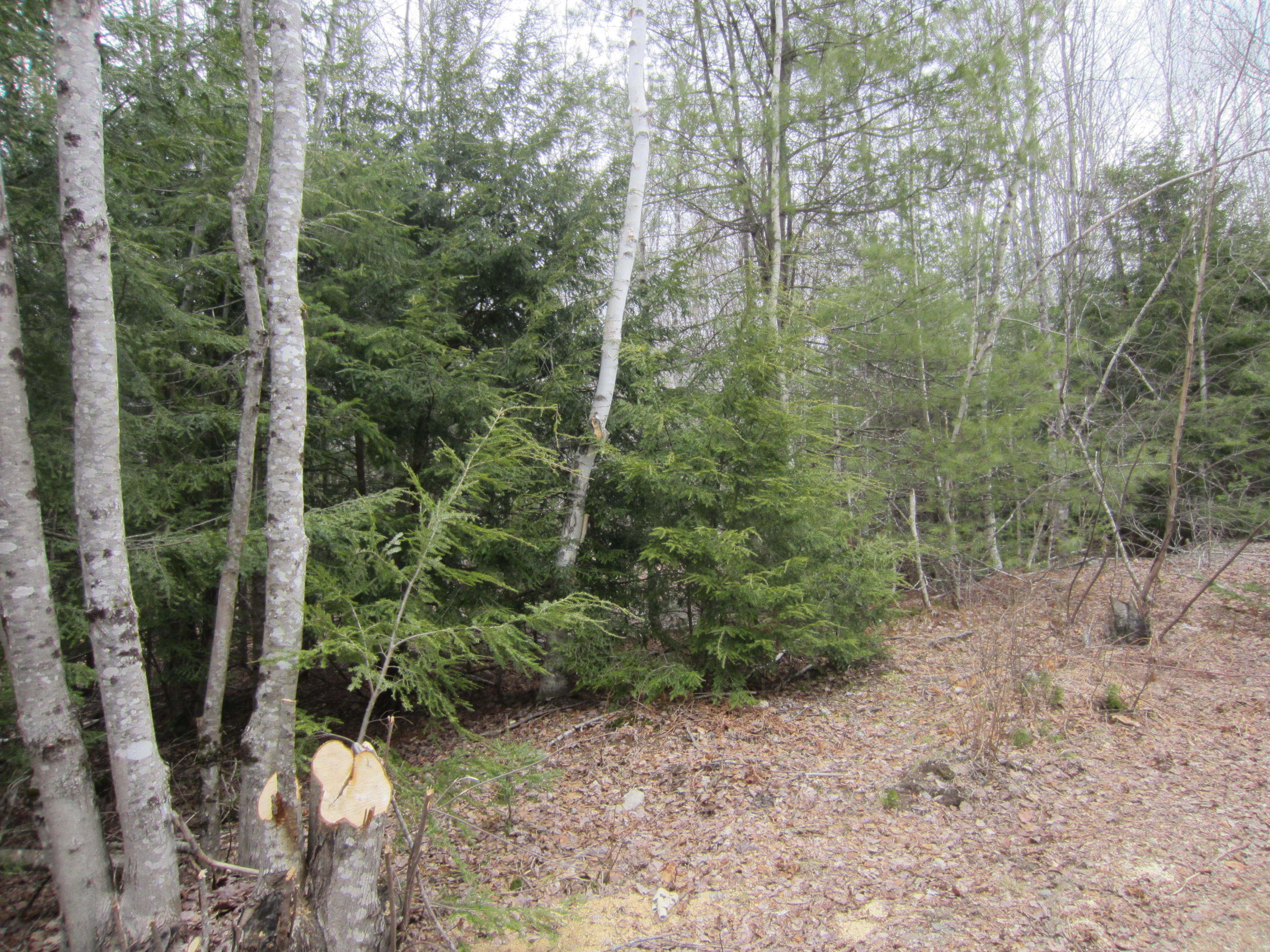 0 Brook Road Wiscasset, ME 04578 - Photo 2 of 7 IMG_4836