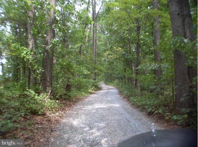 17101 West Old Baltimore Road Boyds, MD 20841 - Photo 28 of 30 Long Private Driveway