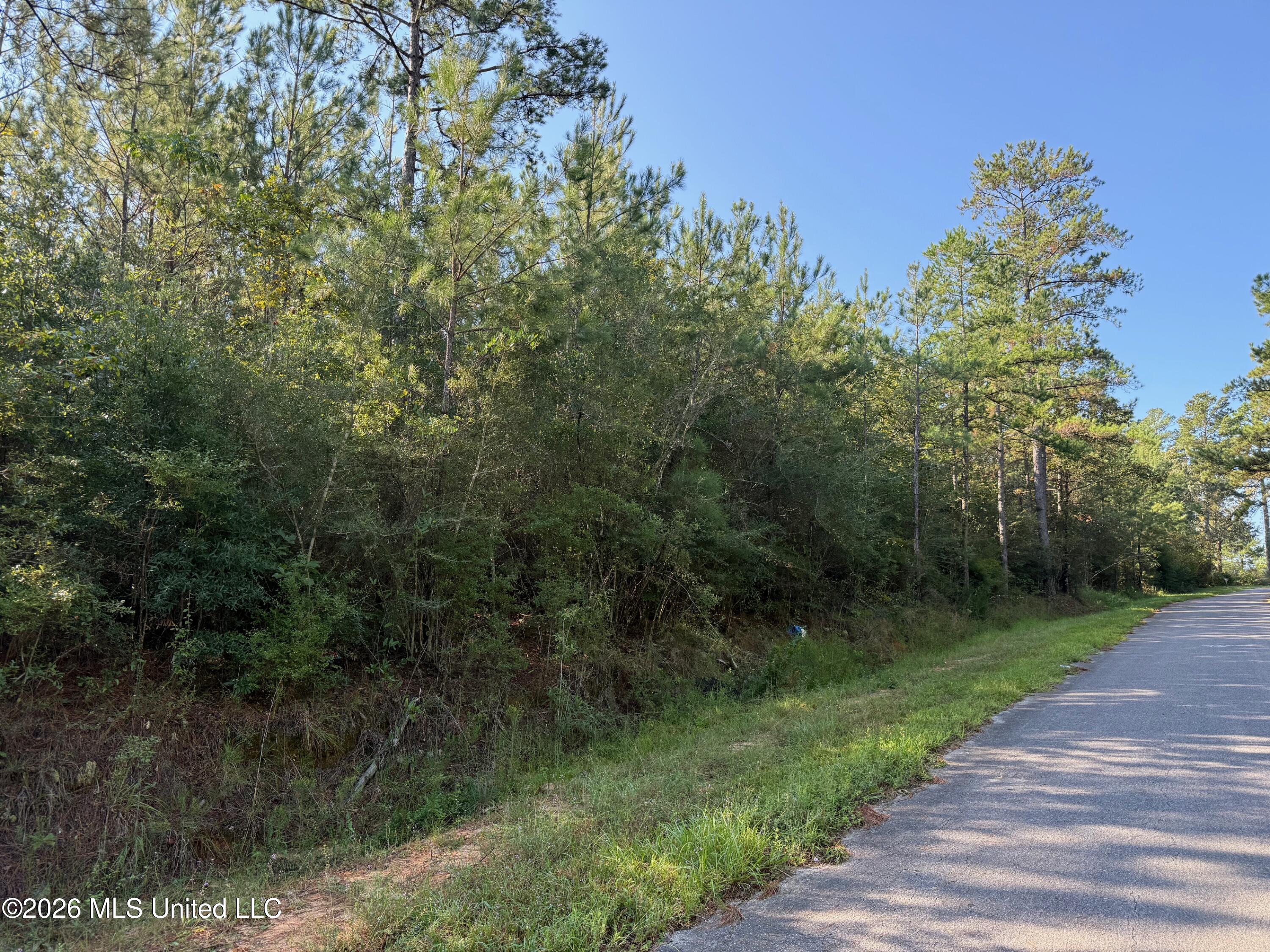 9-ac Fork Road Lucedale, MS 39452 - Photo 1 of 4 IMG_7486