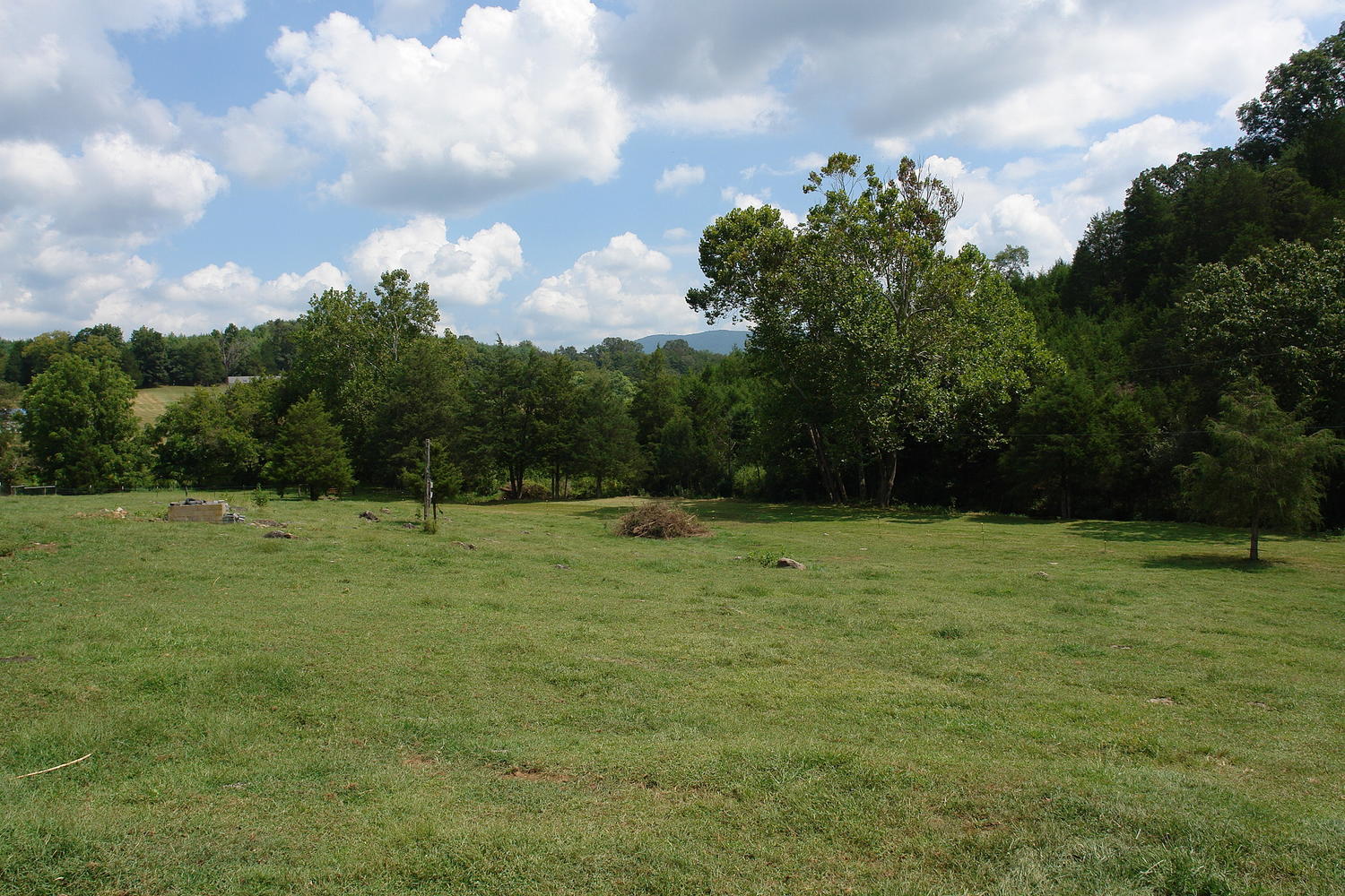 7692 Springwood Road Buchanan, VA 24066 - Photo 59 of 62 7692 Springwood Road Buchanan-large-059-