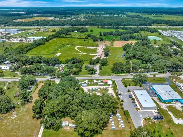 a view of a trees in a yard with large trees