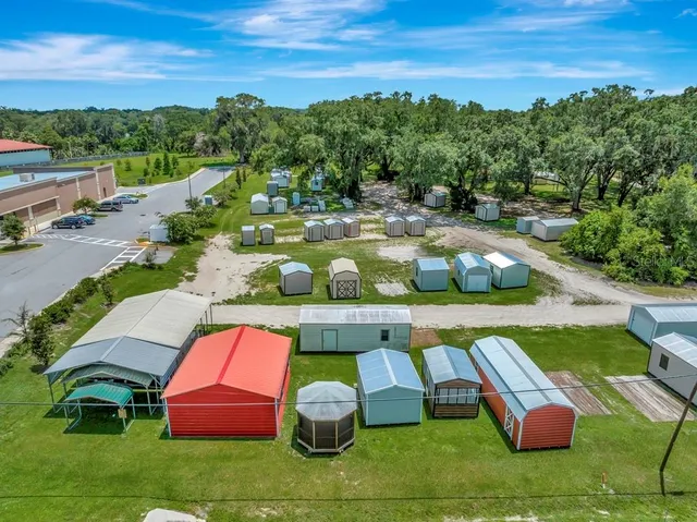 a view of a backyard with plants and palm trees