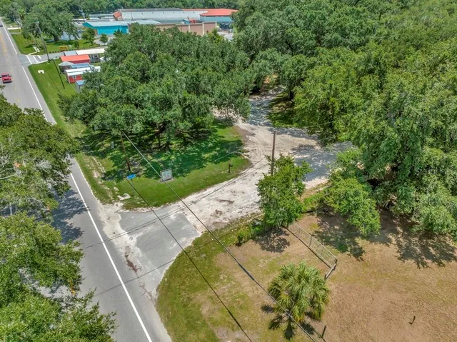 a view of a park with large trees