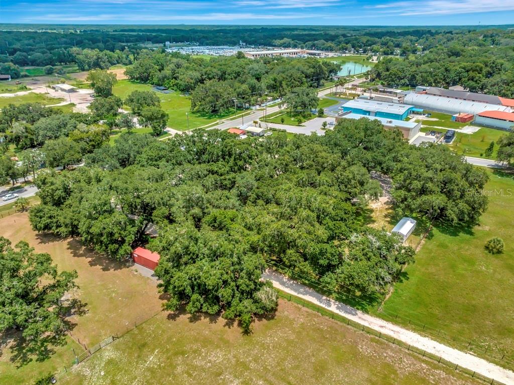 13285 Highway 92 Dover, FL 33527 - Photo 4 of 76