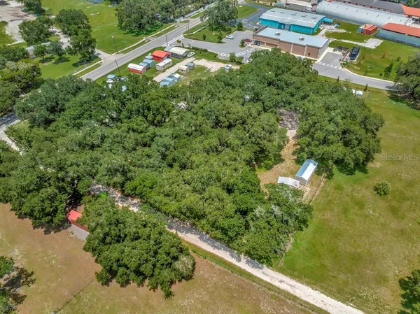 a view of a park with large trees