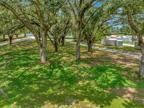 a view of a trees in a yard