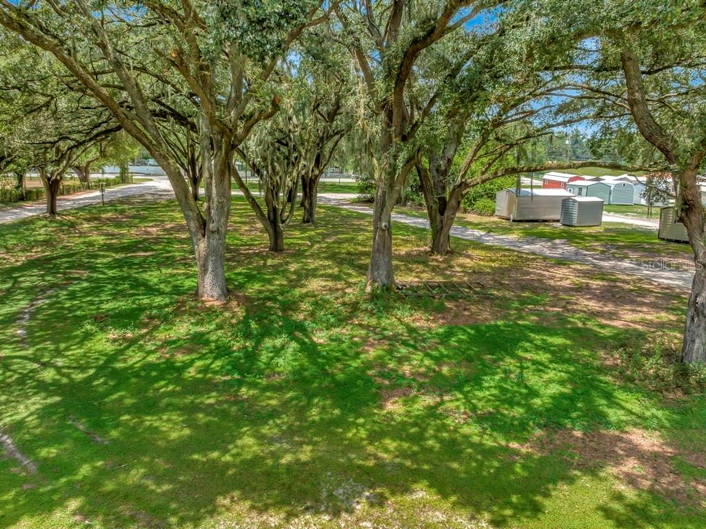13285 Highway 92 Dover, FL 33527 - Photo 43 of 76 a backyard of a house with lots of green space