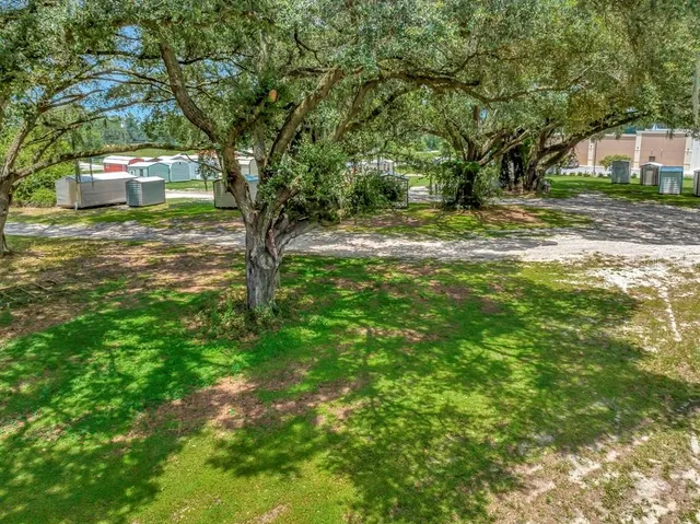 a view of a park with large trees