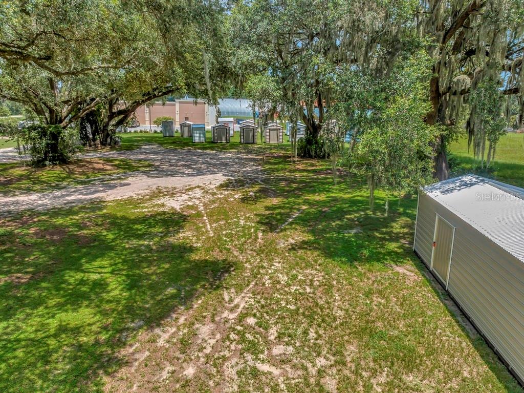13285 Highway 92 Dover, FL 33527 - Photo 45 of 76 a view of a trees in a yard with large trees