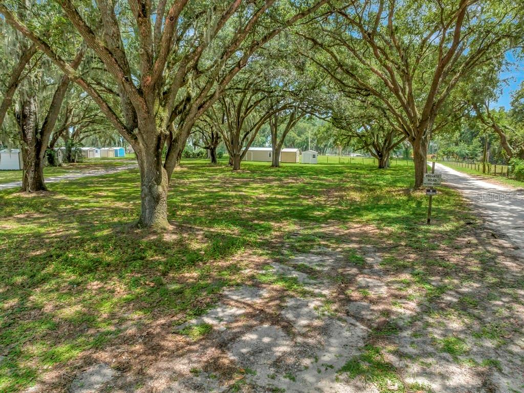 13285 Highway 92 Dover, FL 33527 - Photo 47 of 76 a huge green field with lots of trees