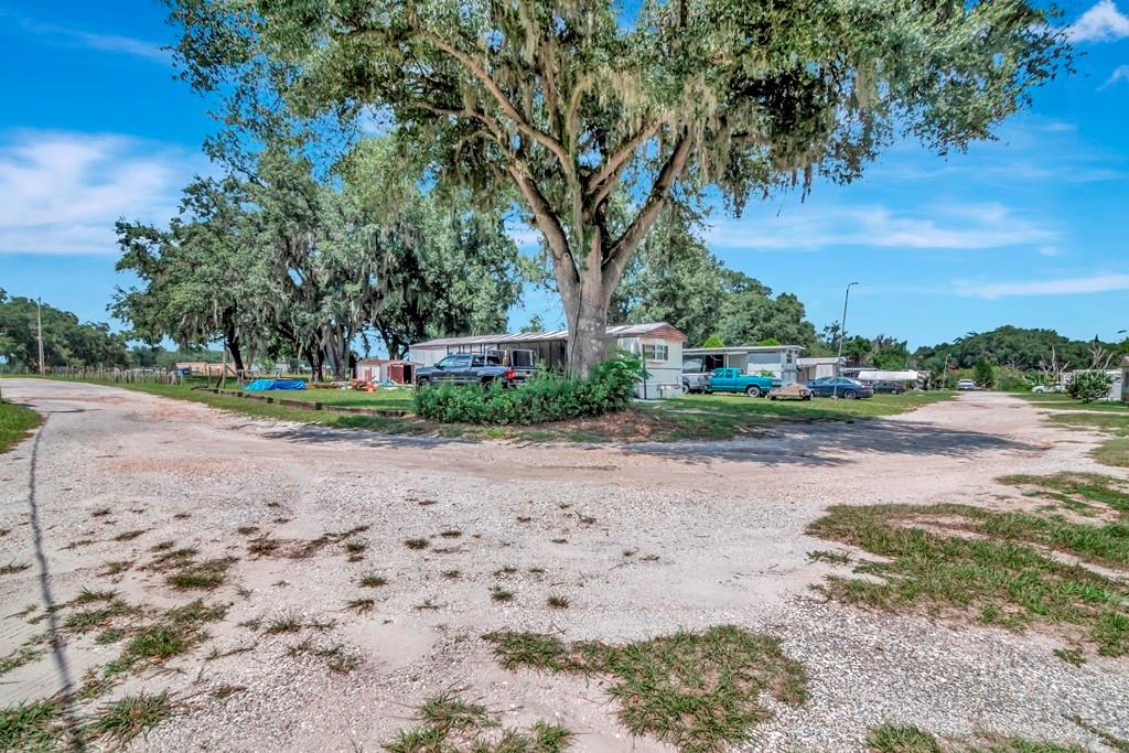 13285 Highway 92 Dover, FL 33527 - Photo 51 of 76 a view of a park with large trees