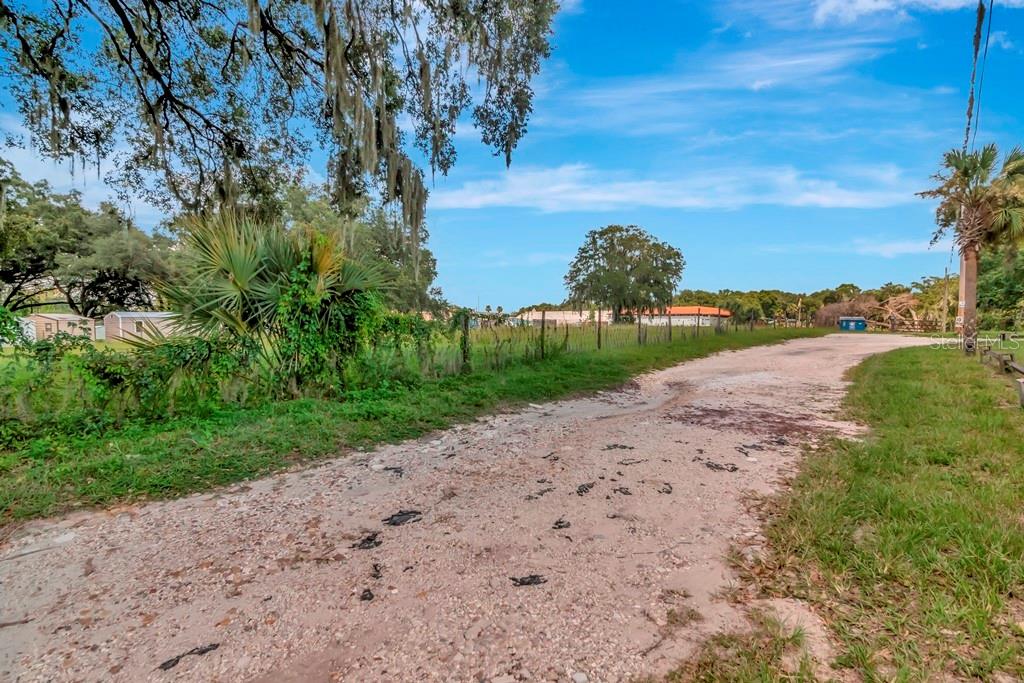 13285 Highway 92 Dover, FL 33527 - Photo 61 of 76 a view of a beach with a yard