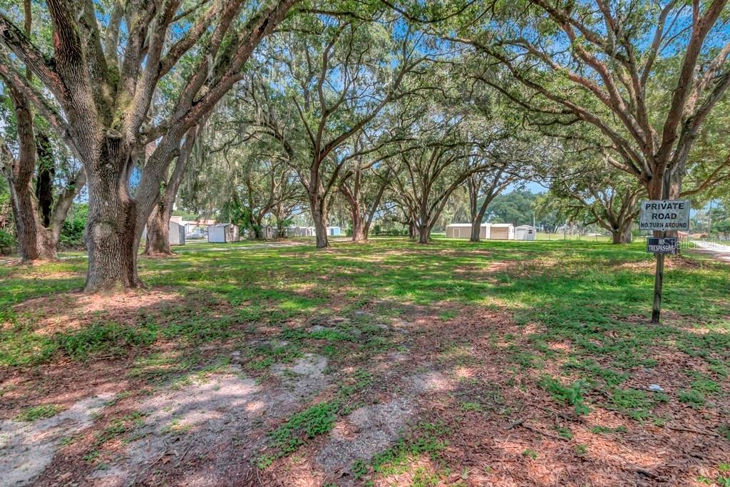 13285 Highway 92 Dover, FL 33527 - Photo 67 of 76 a view of a trees in a yard