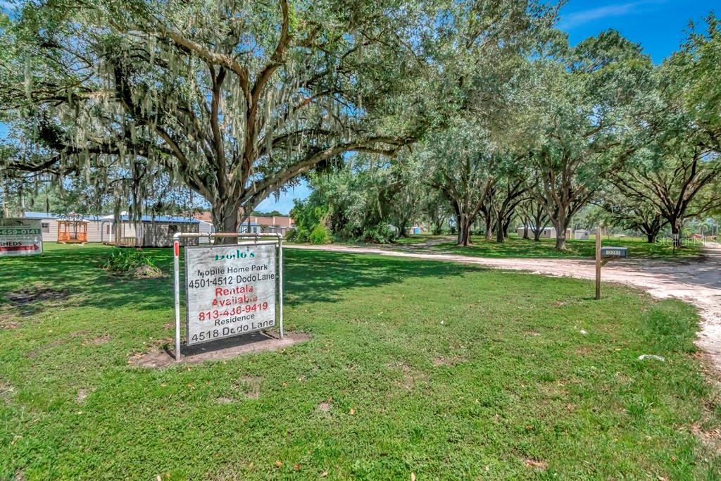 13285 Highway 92 Dover, FL 33527 - Photo 74 of 76 a view of a park with large trees