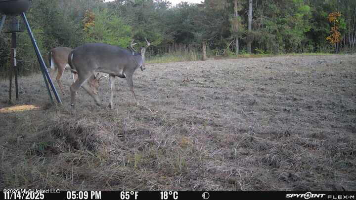 67 Angie Road Sandy Hook, MS 39478 - Photo 27 of 31 9200902574884516252