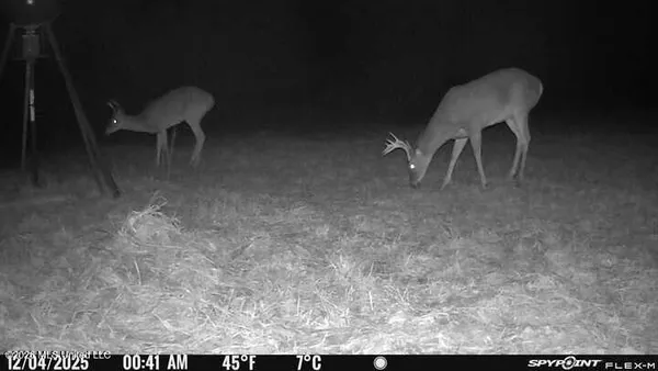 $210,000 | 67 Angie Road, Sandy Hook, MS 39478