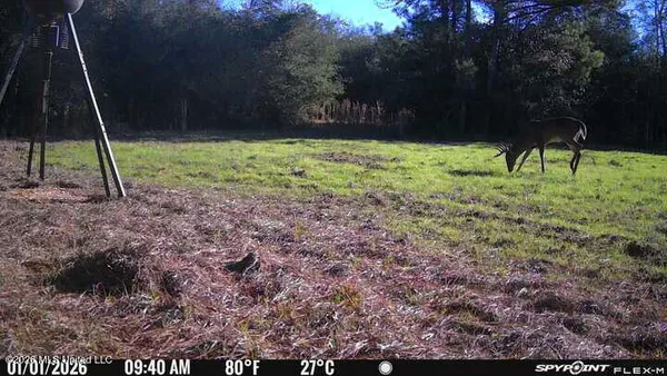 $210,000 | 67 Angie Road, Sandy Hook, MS 39478