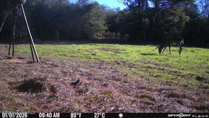 67 Angie Road Sandy Hook, MS 39478 - Photo 29 of 31 2137855326519364862