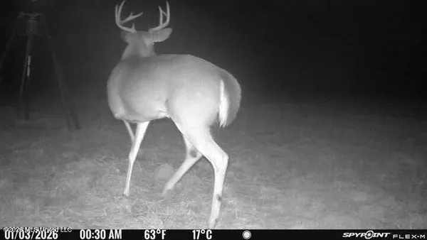 $210,000 | 67 Angie Road, Sandy Hook, MS 39478