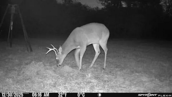 $210,000 | 67 Angie Road, Sandy Hook, MS 39478