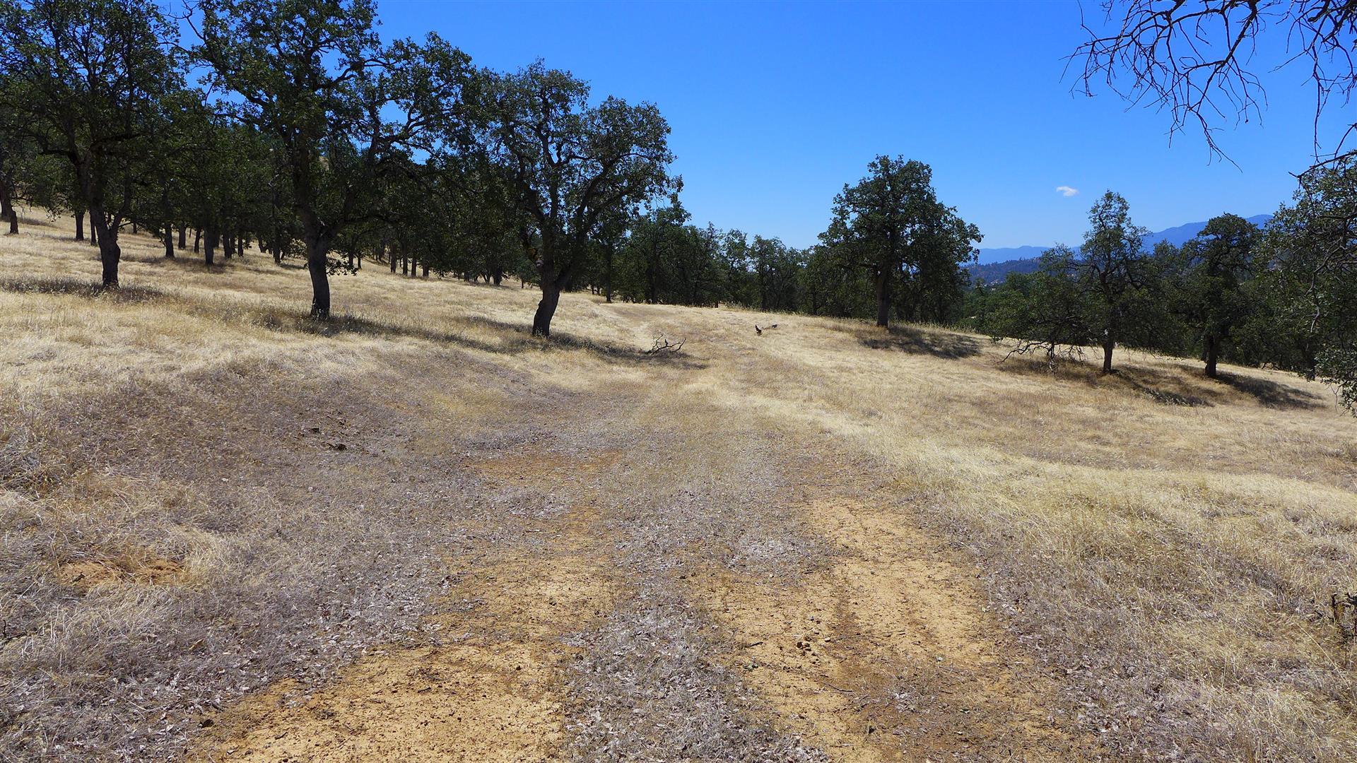 Lot 249 Fiddlers Road Igo, CA 96047 - Photo 14 of 20 P1050825