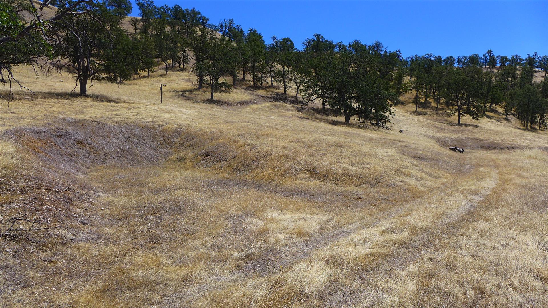 Lot 249 Fiddlers Road Igo, CA 96047 - Photo 18 of 20 P1050829