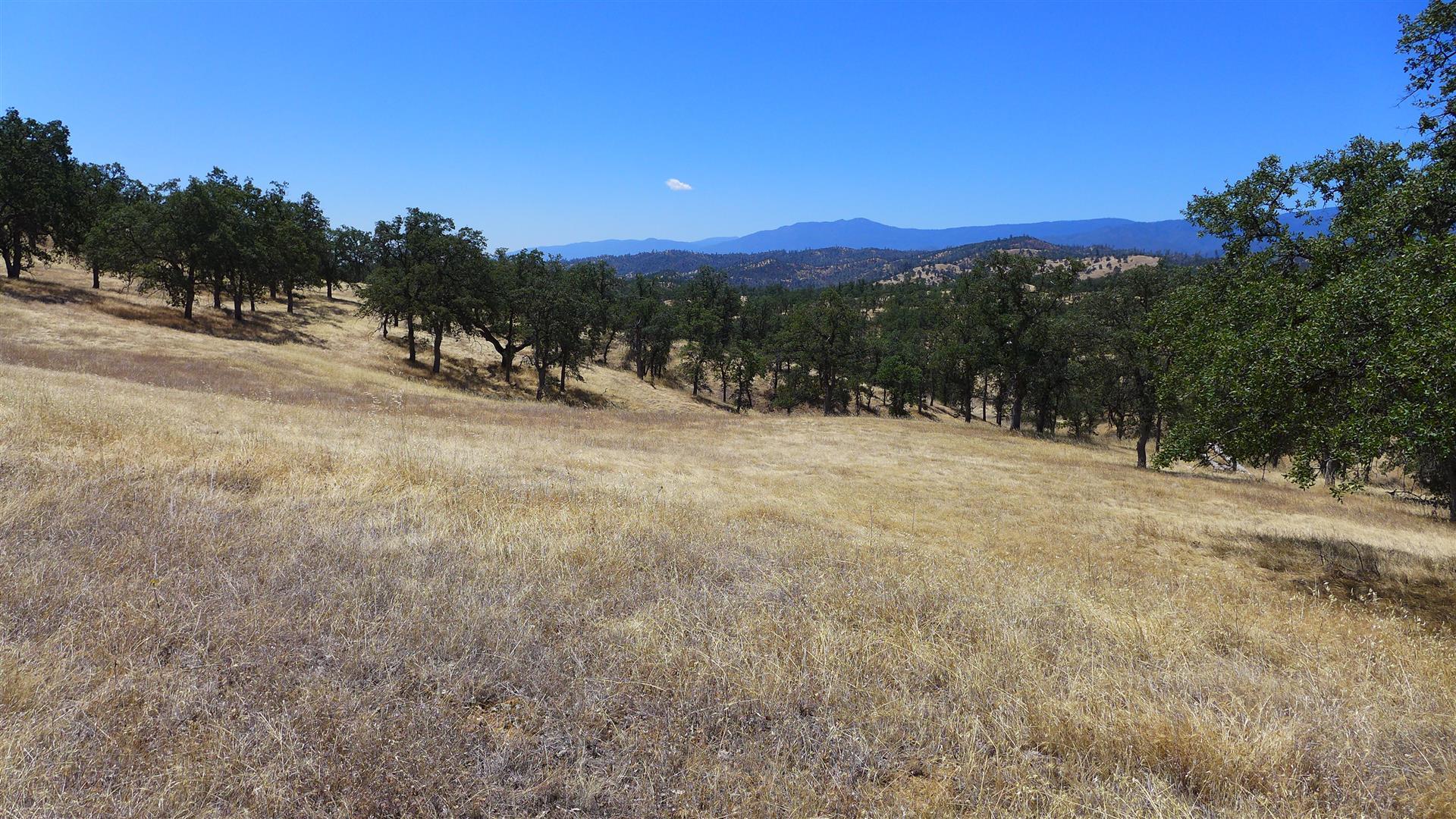Lot 249 Fiddlers Road Igo, CA 96047 - Photo 19 of 20 P1050830