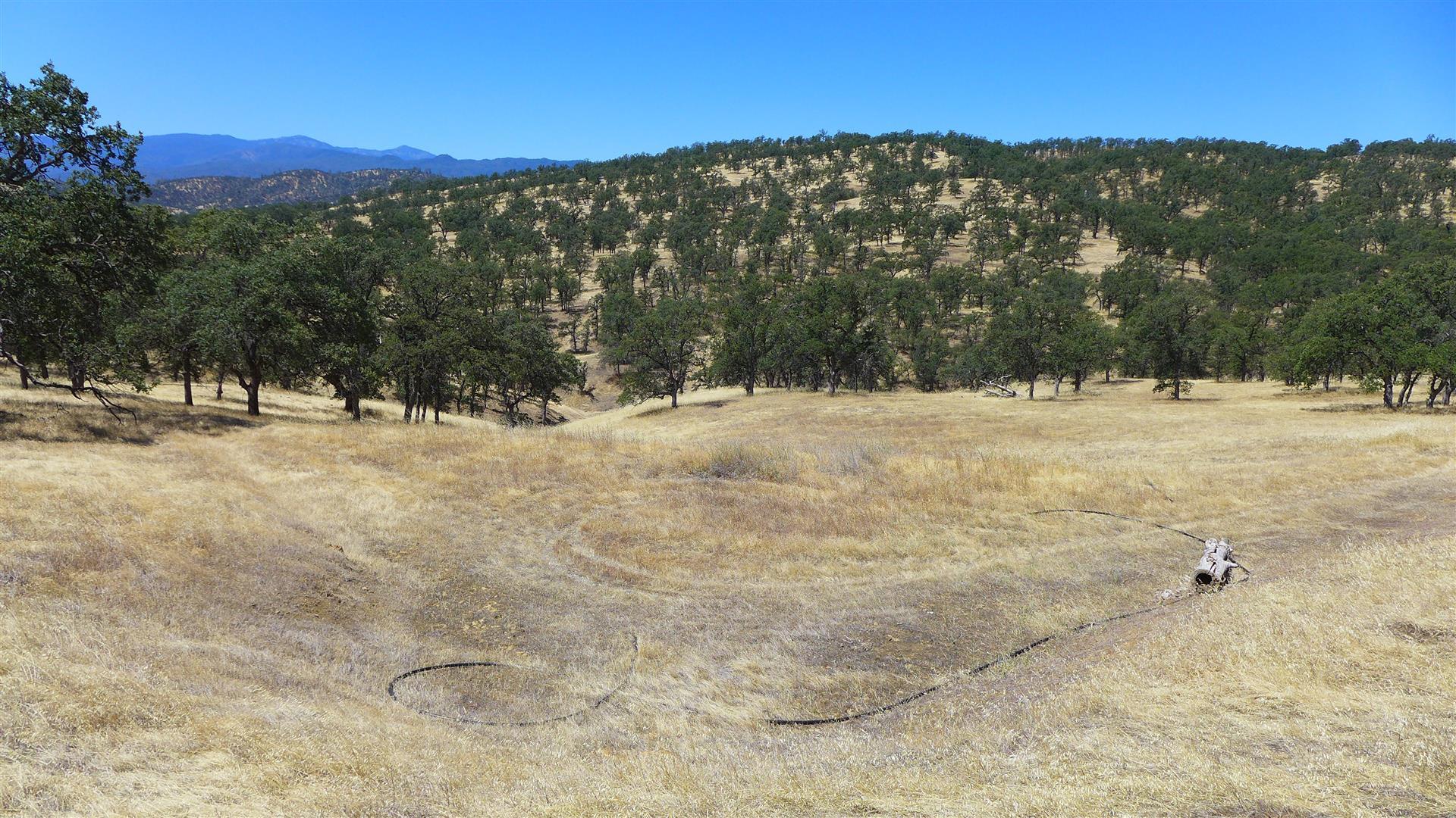 Lot 249 Fiddlers Road Igo, CA 96047 - Photo 3 of 20 3