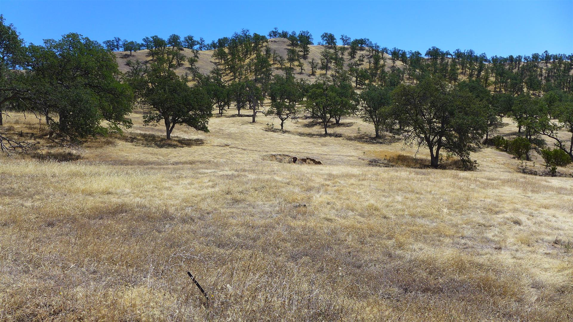 Lot 249 Fiddlers Road Igo, CA 96047 - Photo 8 of 20 P1050816