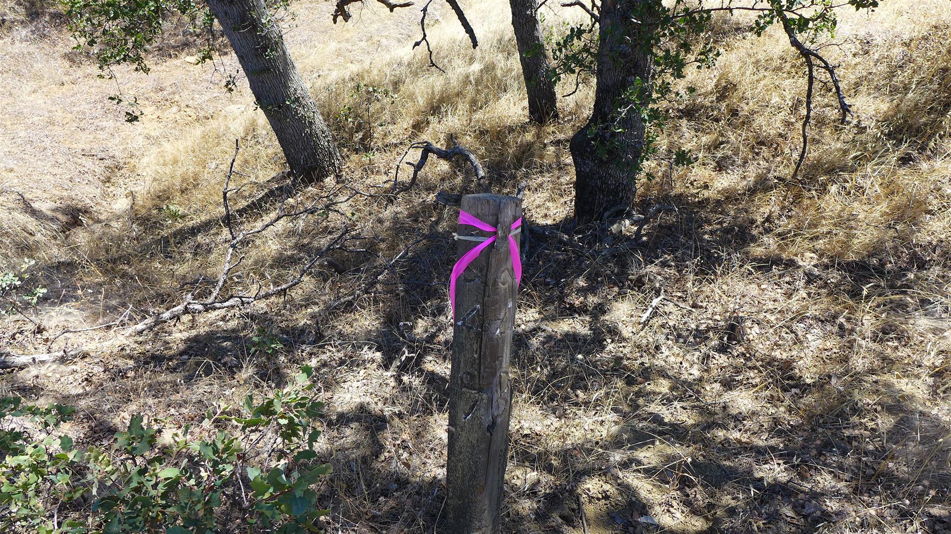 Lot 249 Fiddlers Road Igo, CA 96047 - Photo 9 of 20 P1050817