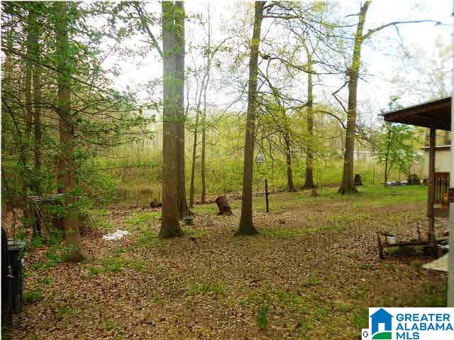 3630 Kelly Creek Road Odenville, AL 35120 - Photo 4 of 7