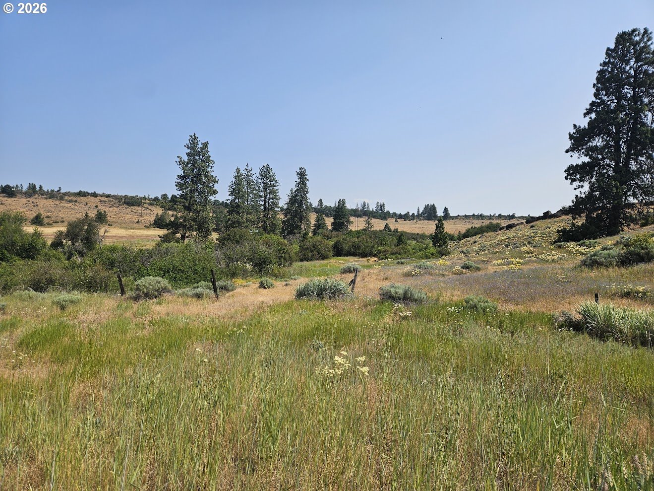 Olson Road Centerville, WA 98613 - Photo 10 of 25
