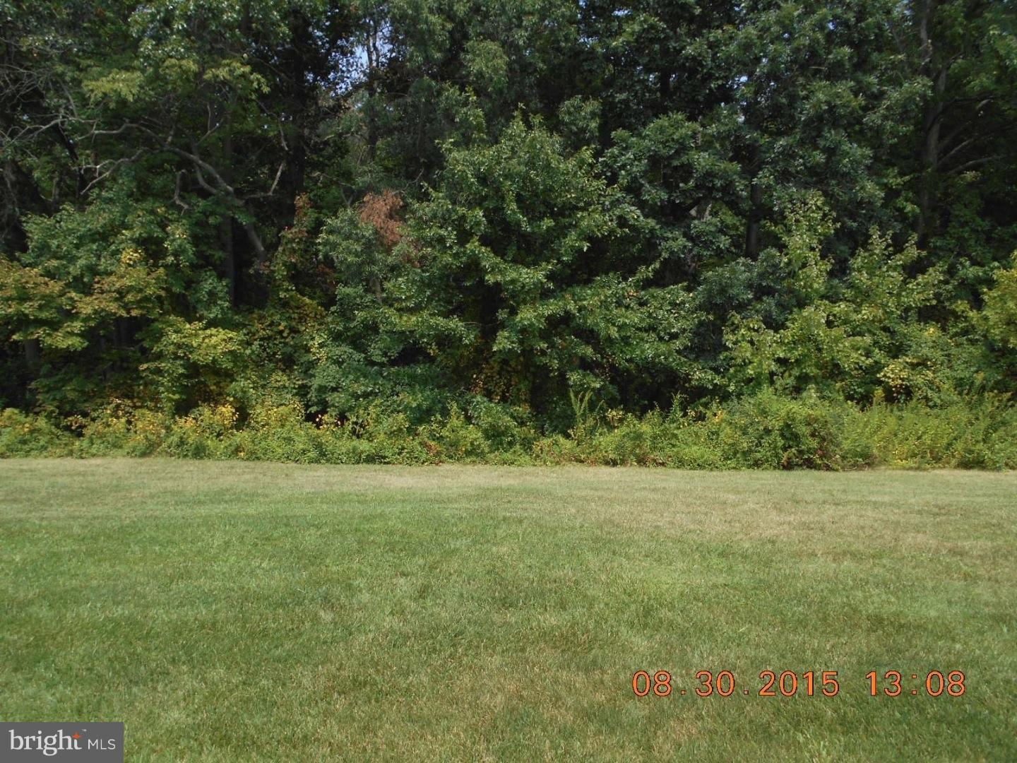 1207 Stokes Road Mount Laurel, NJ 08054 - Photo 3 of 18