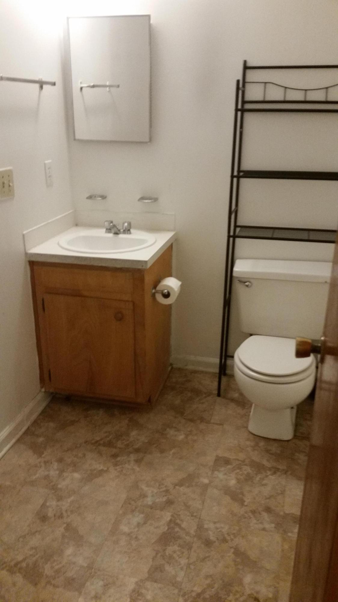 72 Burnt Mills Road, Unit A & B Goose Creek, SC 29445 - Photo 12 of 18 hall bath