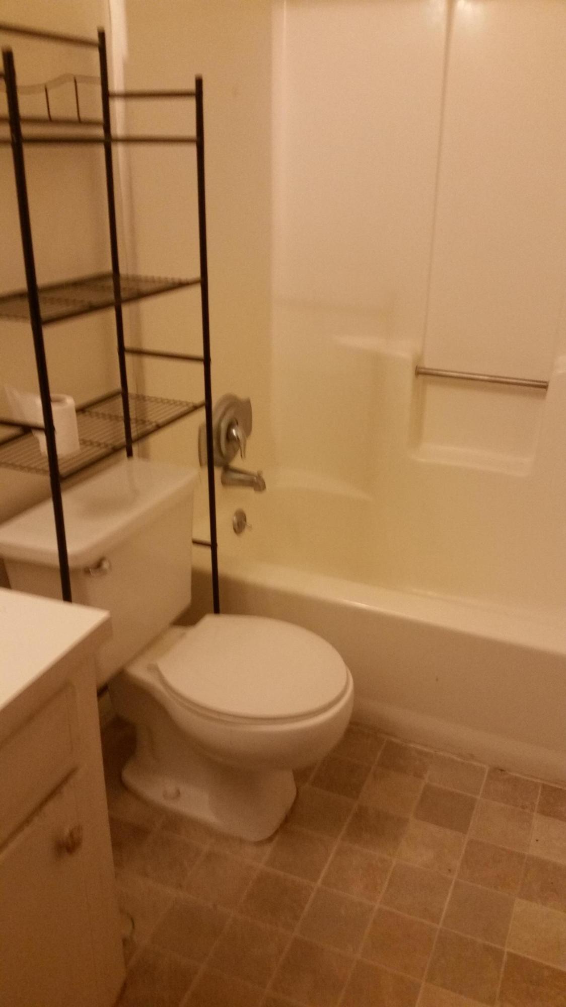 72 Burnt Mills Road, Unit A & B Goose Creek, SC 29445 - Photo 15 of 18 master bath