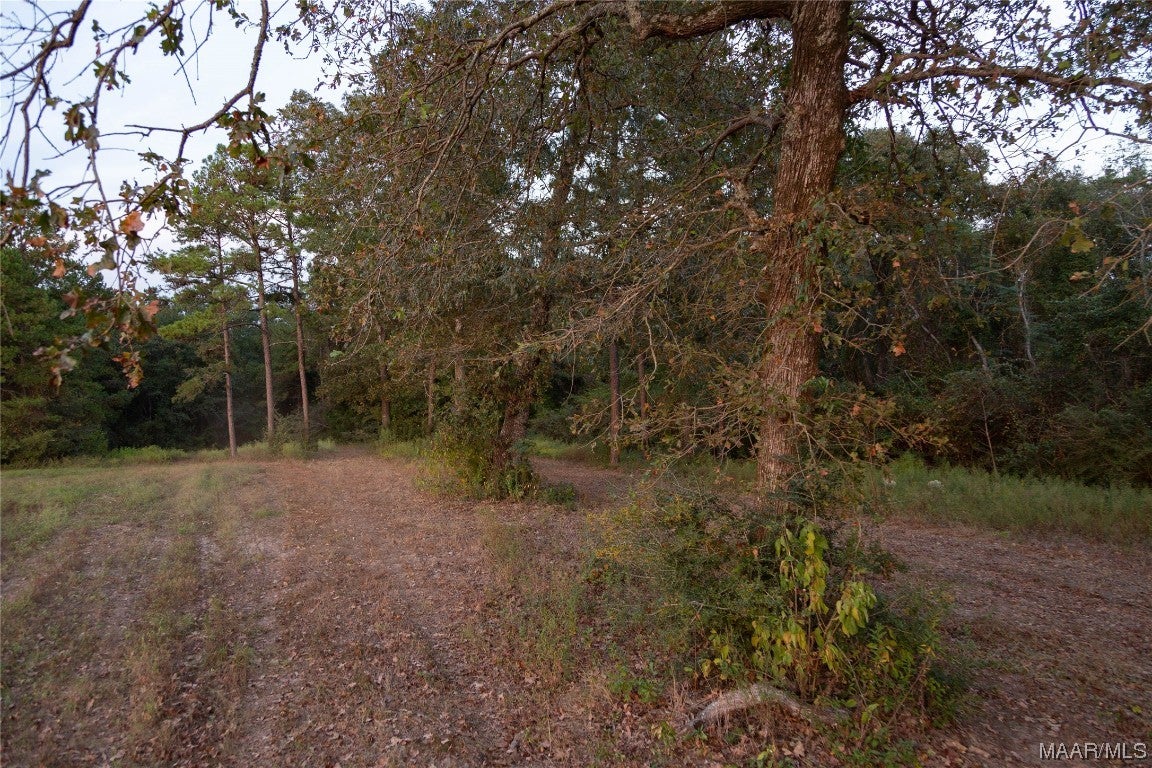 337 County Road 337 Brantley, AL 36009 - Photo 23 of 36 Gallery Image 23