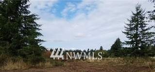 9211 180th Lane Southwest Rochester, WA 98579 - Photo 2 of 3