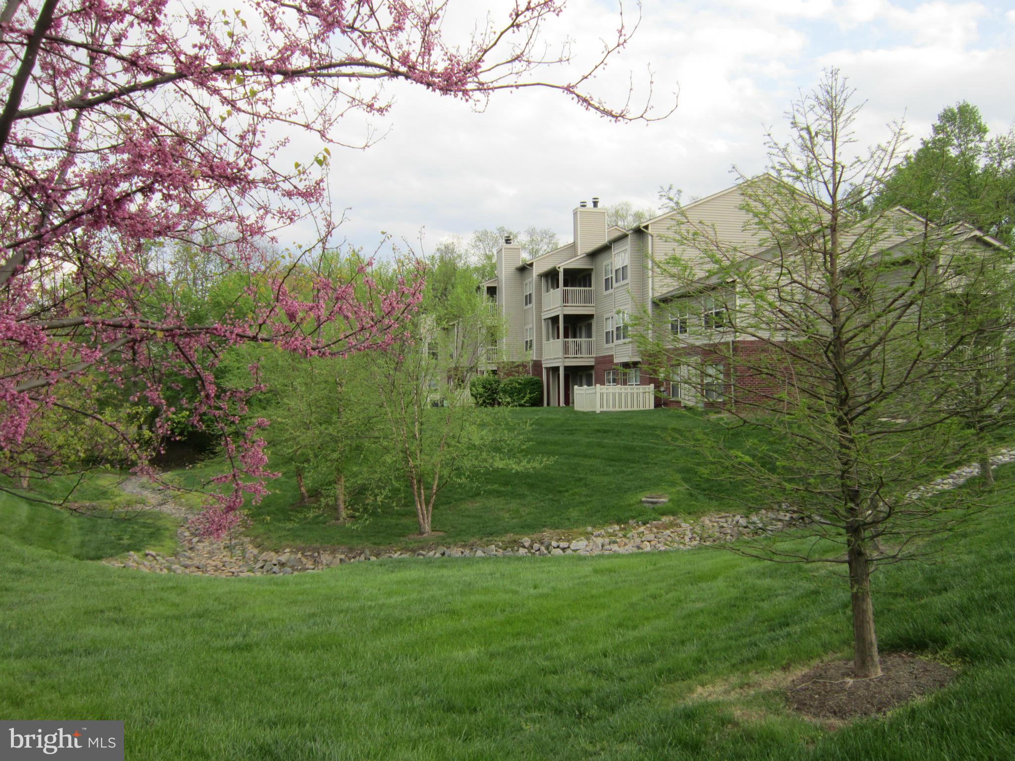 11657 Chesterfield Court, Unit D Reston, VA 20190 - Photo 30 of 30 Exterior (General)