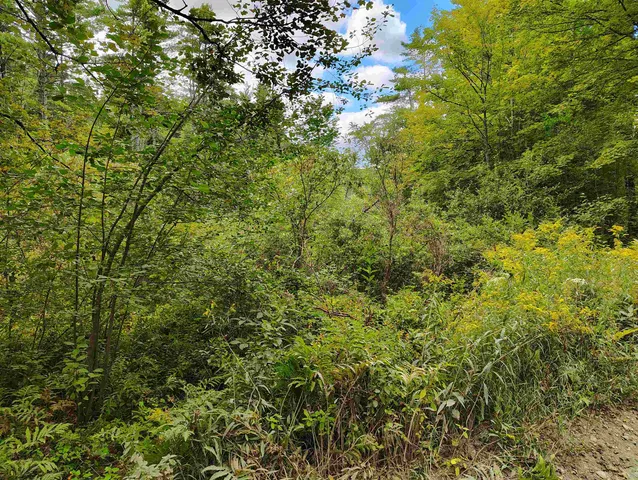 $225,000 | 22 King Drive, Plainfield, NH 03781