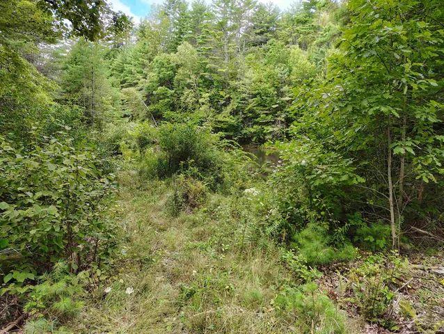 $225,000 | 22 King Drive, Plainfield, NH 03781