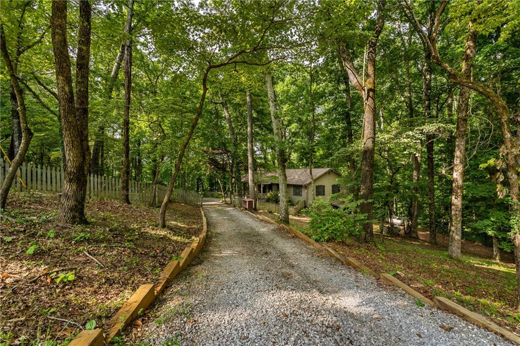 368 Still Hollow Road Jasper, GA 30143 - Photo 8 of 28