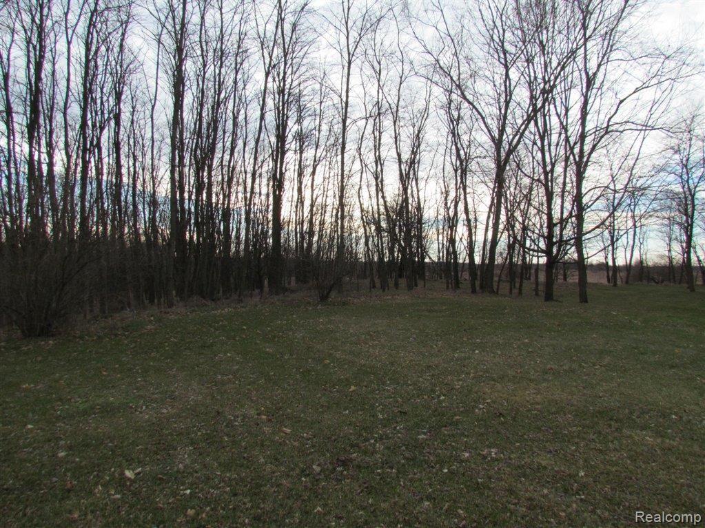 5737 West Schafer Road Howell, MI 48843 - Photo 16 of 18 Yard.jpg
