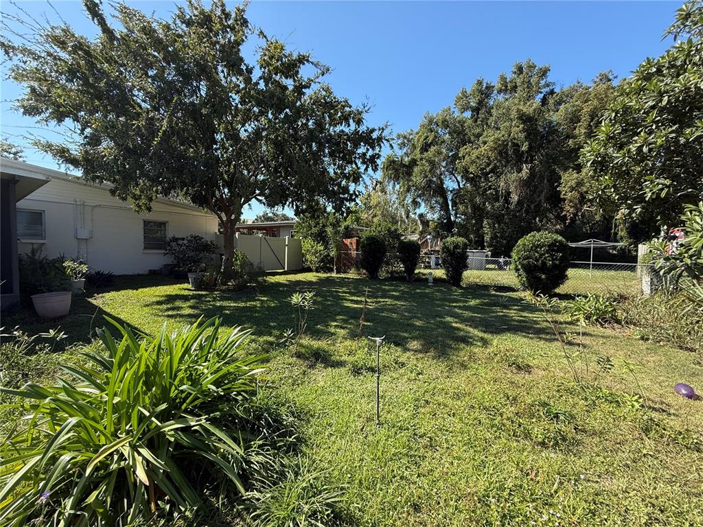 2200 Butler Street Leesburg, FL 34748 - Photo 28 of 32 a view of a garden with a tree