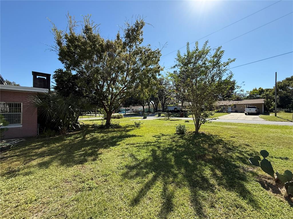 2200 Butler Street Leesburg, FL 34748 - Photo 32 of 32 a view of a park with large trees