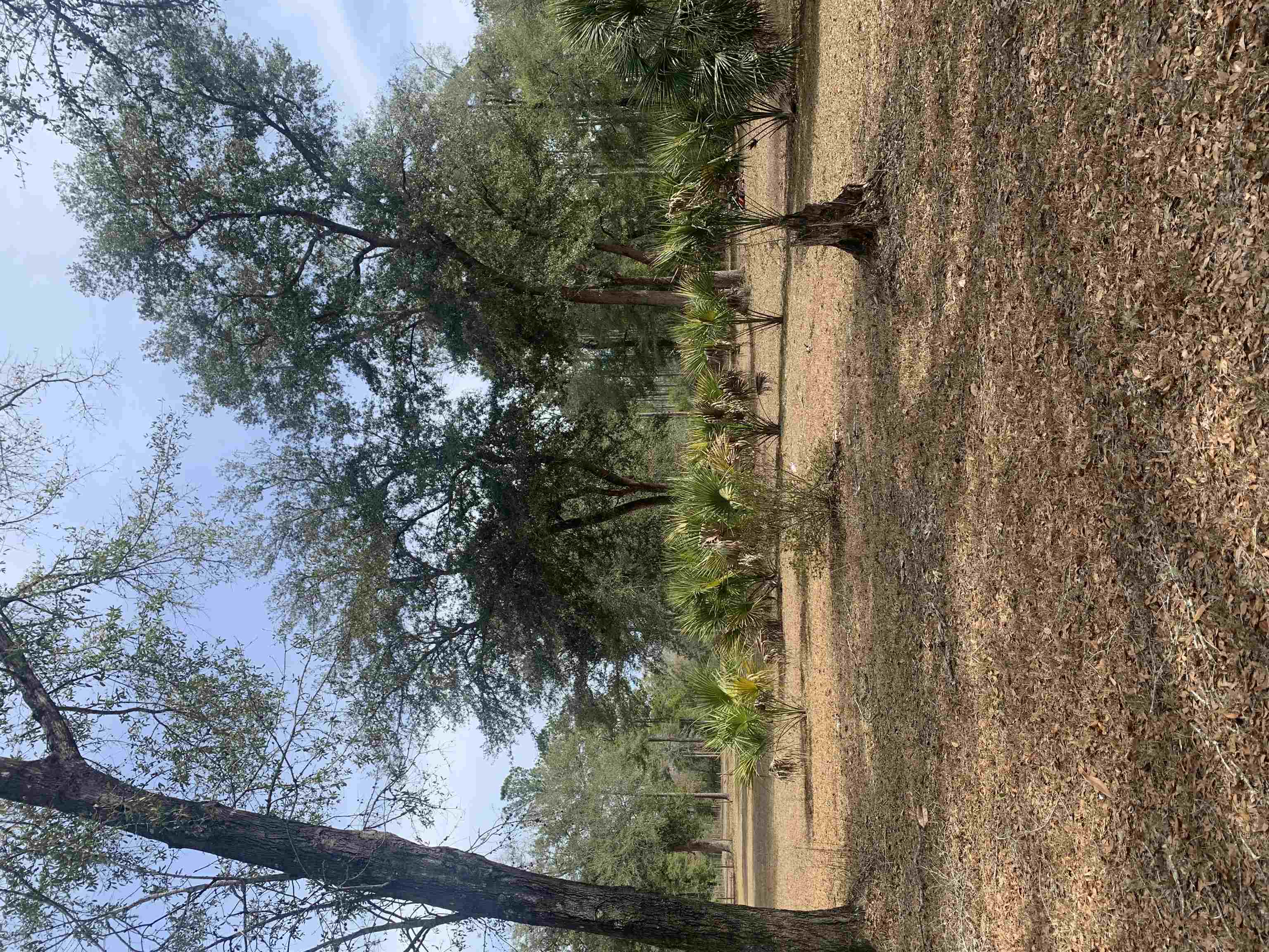 X Samuel Road Crawfordville, FL 32327 - Photo 1 of 7 Gallery Image 1