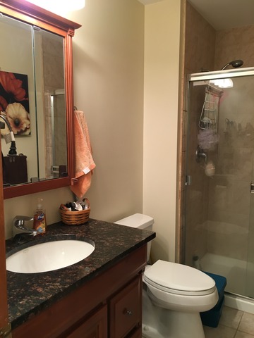 3496 Meadow Crest Circle Gurnee, IL 60031 - Photo 17 of 25 a bathroom with a granite countertop sink toilet a mirror and shower